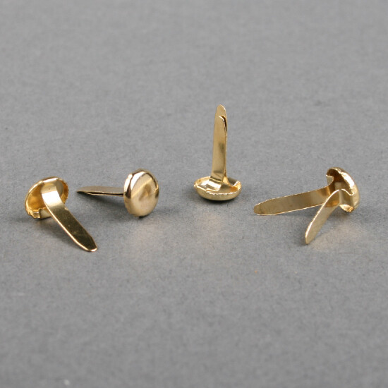 Paper fastener 14 mm brass plated, The Solution Shop