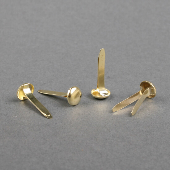 Paper fastener 19 mm brass plated, The Solution Shop